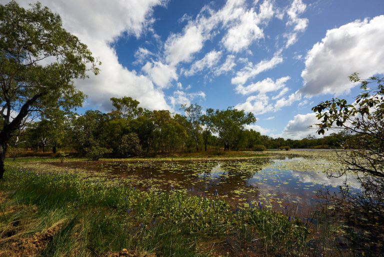 Horseshoe lagoon