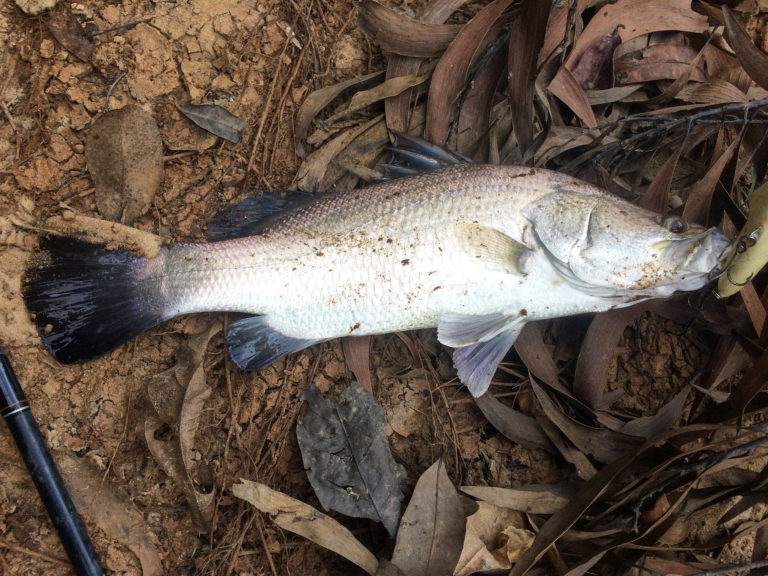 The Barra Hole