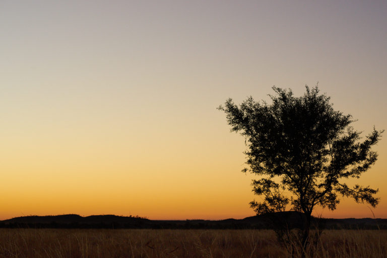 Sunrise – Lawn Hill