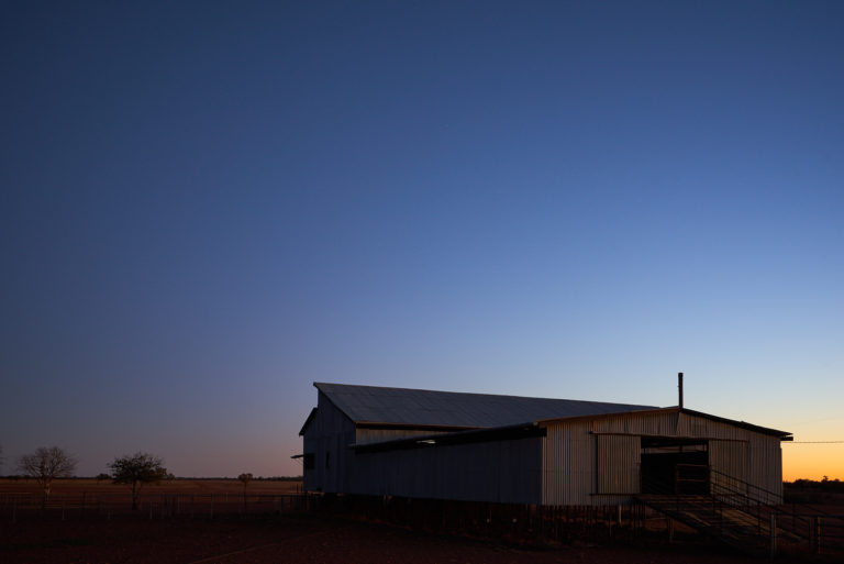 Shearing Shed
