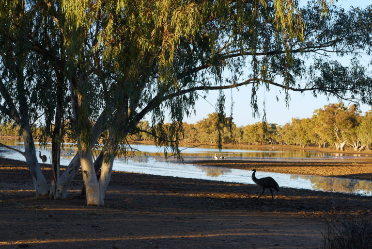 The Lake