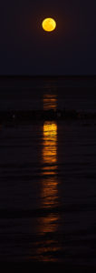 Staircase to the Moon – 8793