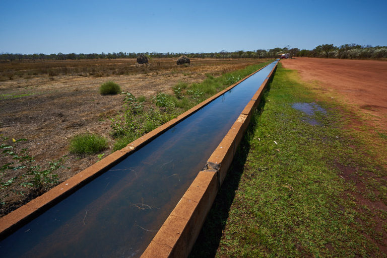 Derby – Long Water Trough – 8849