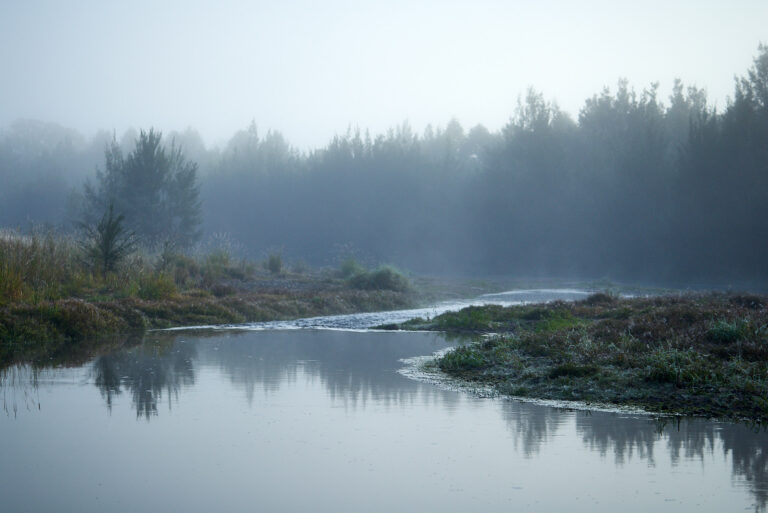 Mary River Kenilworth