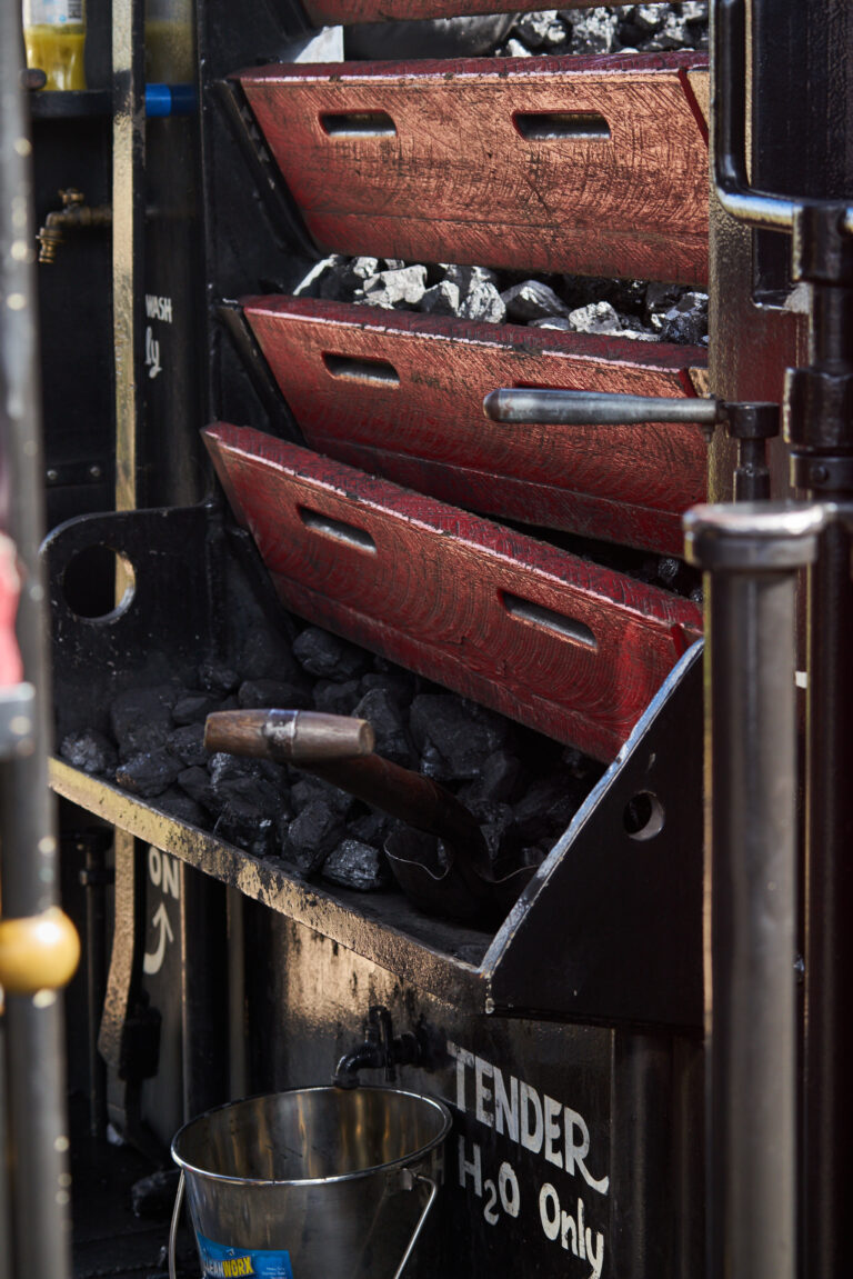 MaryValleyRattler_DSC7856