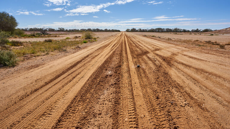 WindorahBirdsville_DSC9989